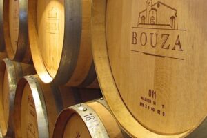 City Tour Montevideo Con Visita A Bodega Bouza